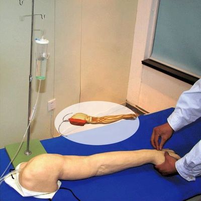 Treinamento de Venipunctura Integral Braço Modelo de Tamanho da Vida Humana para Injecções IV e IM