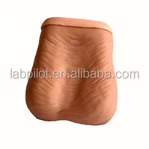 Simulador realista de exame testicular com tamanho humano e PVC avançado