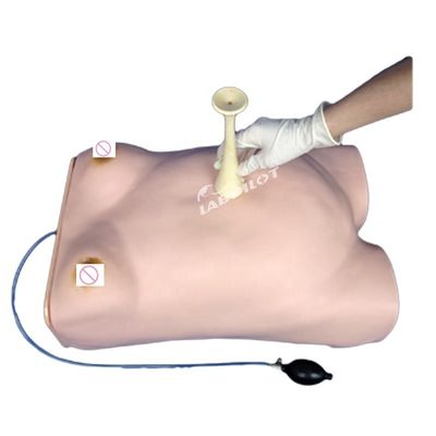 Manikin Modelo de Palpação de Maternidade Eletrônica com Função de Auscultação Ginecológica