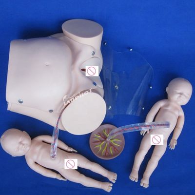 Tamanho de vida humana boneca grávida bebê simulador de parto para ciência médica modelo