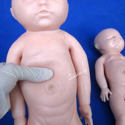 Tamanho de vida humana boneca grávida bebê simulador de parto para ciência médica modelo