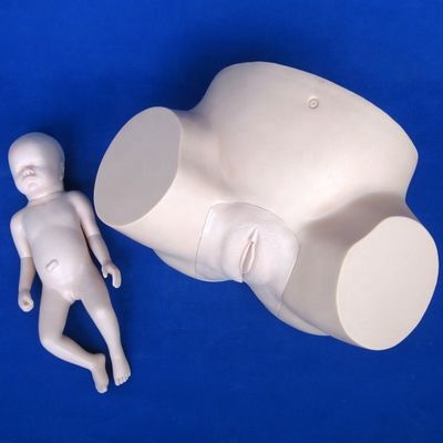 Simulador de parto de manequim de PVC avançado para treinamento de extração de vácuo