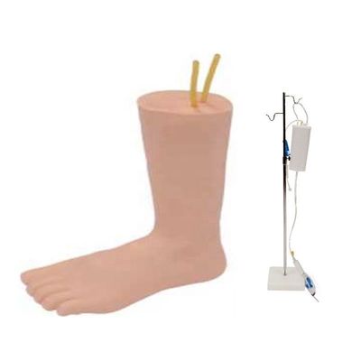 Modelo de pé eficaz para ensinar a venenografia intravenosa na educação de enfermagem clínica