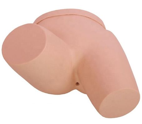 Melhorar a Formação em Enfermagem Clínica com o Modelo de Enema Training Simulator Nursing