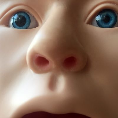 Modelo de lavagem gástrica transparente Simulador de tubo de alimentação nasal para formação em enfermagem