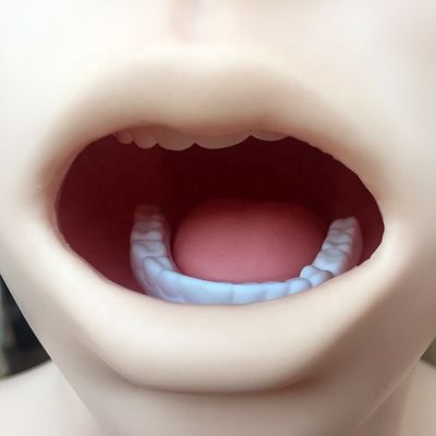 Modelo de lavagem gástrica transparente Simulador de tubo de alimentação nasal para formação em enfermagem