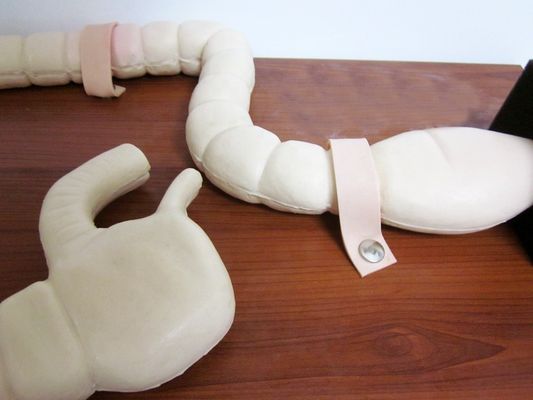 Manikin para treinamento de exame de sigmoidoscópio Modelo de simulação de intestino avançado