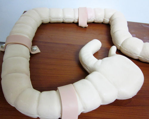 Manikin para treinamento de exame de sigmoidoscópio Modelo de simulação de intestino avançado