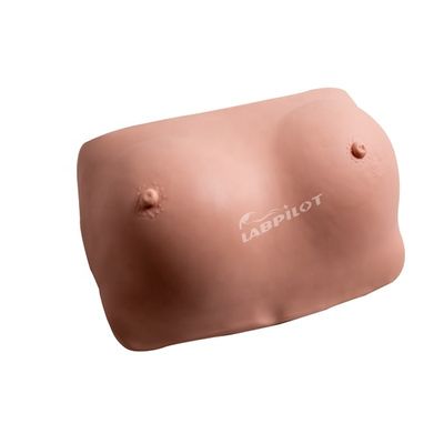 Função Simulador de prática de exame de mama de tamanho humano para detecção de tumores