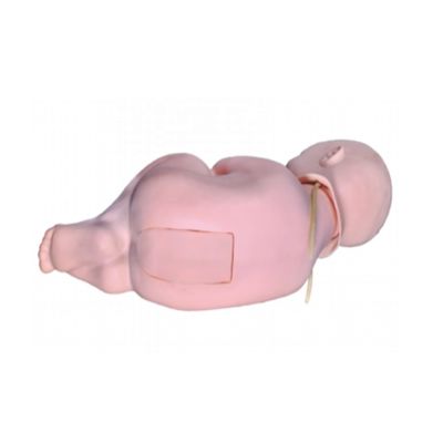 Boneca de treinamento de punção lombar infantil para manequim pediátrico nos cuidados de enfermeiros médicos