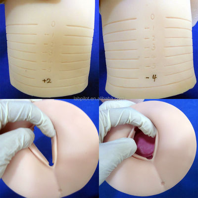 Revolucionário manequim obstétrico com demonstração de dilatação e eliminação cervical
