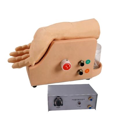 Modelo de Análise de Gás do Sangue Arterial para Treinamento de Punção de Arteria Humana Desenvolvimento de Habilidades