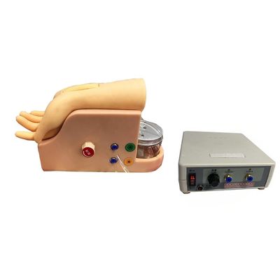 Modelo de Análise de Gás do Sangue Arterial para Treinamento de Punção de Arteria Humana Desenvolvimento de Habilidades