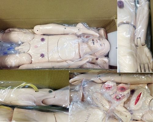 Tamanho de vida humana Full Funcional Adultos Manikin de enfermagem com simulador de pressão arterial