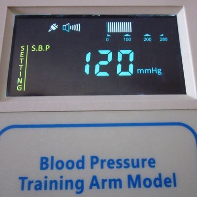 Tamanho de vida humana Full Funcional Adultos Manikin de enfermagem com simulador de pressão arterial