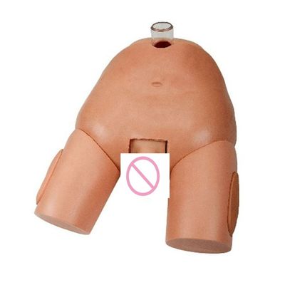 Simulador de operação de perfuração urinária feminina de PVC para habilidades de cateterismo