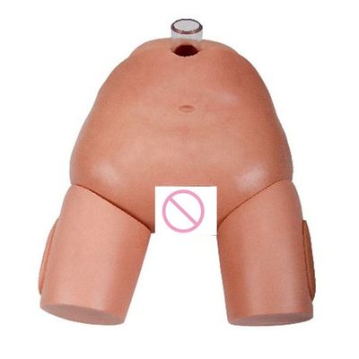 Simulador de operação de perfuração urinária feminina de PVC para habilidades de cateterismo