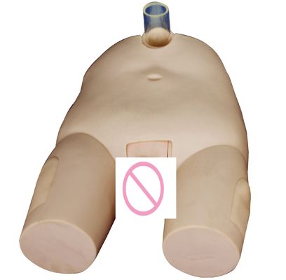 PVC Modelo de Treinamento de Irrigação da Bexiga Homem/Mulher Habilidades de Cateterismo e Simulador de Operação de Punção