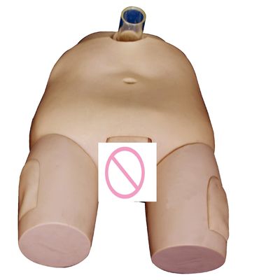 PVC Modelo de Treinamento de Irrigação da Bexiga Homem/Mulher Habilidades de Cateterismo e Simulador de Operação de Punção