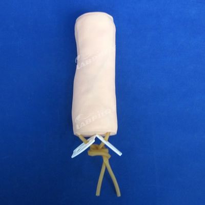 Ciências Médicas Modelo de Prática de Transfusão de Sangue e Venenicultura com Modelo de Cotovelo IV