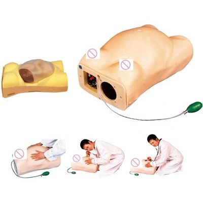 Manikin Modelo de Palpação de Maternidade Eletrônica com Função de Auscultação Ginecológica