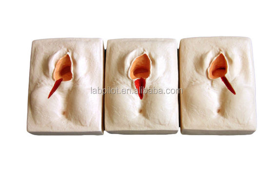 Habilidades ginecológicas Ensino 3-Set Perineum Suturing Simulator e Episiotomia ferida Suturing Modelo