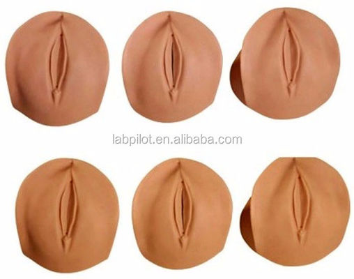 Modelo de cervix de demonstração apagado e dilatado para simulação avançada de cuidados de maternidade