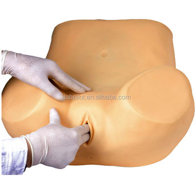 Treinamento de Exame Ginecológico Compreensivo Manikin com Vários Modelos de Colégio e Útero
