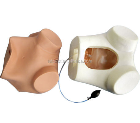 Treinamento de Exame Ginecológico Compreensivo Manikin com Vários Modelos de Colégio e Útero