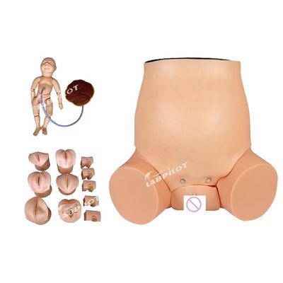 Obstetrícia-Ginecologia Modelo Simulador de Cuidados da Mulher Grávida para Treinamento de Obstetrícia