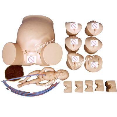 Obstetrícia-Ginecologia Modelo Simulador de Cuidados da Mulher Grávida para Treinamento de Obstetrícia
