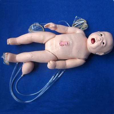 Bebê Vivo Bebê Bebê Vivo Bebê Bebê Bebê Bebê Bebê Bebê Bebê Bebê Bebê Bebê Bebê Bebê Bebê Bebê Bebê Bebê Bebê Bebê Bebê