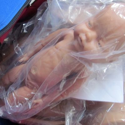 Mulher grávida manequim boneca de bebê parteira modelo de treinamento de parto com PVC avançado