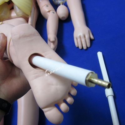 Manual de cuidados infantis de PVC avançado de 3 anos de idade Manual de enfermagem para treinamento pediátrico