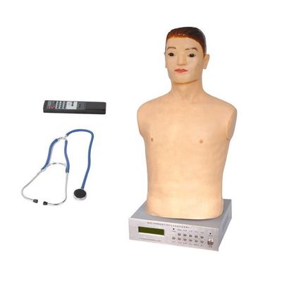 Manikin de meio corpo para exame físico Ensino no Hospital Especial de Mulheres e Crianças