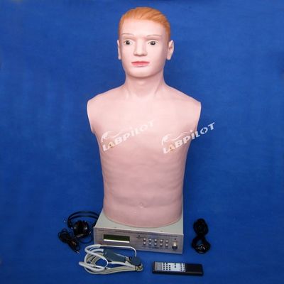 Manikin de meio corpo para exame físico Ensino no Hospital Especial de Mulheres e Crianças