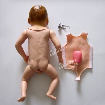 Modelo de manequim para simulação realista de traqueostomia infantil pediátrica