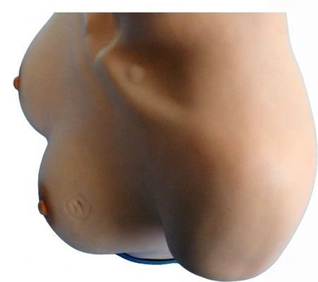 Habilidades ginecológicas ensinando manequim para inspeção de mama e simulador de palpação