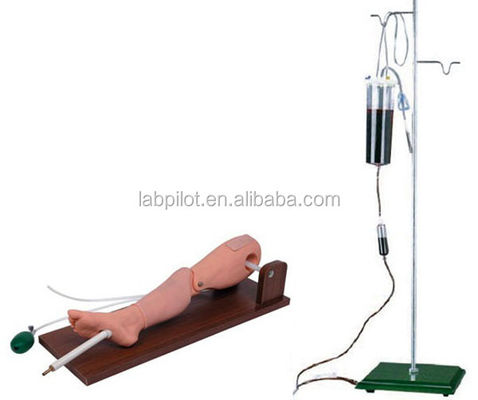 Práctico simulador de perfuração de medula óssea infantil e venenção femoral para treinamento