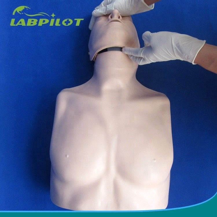 Simples Tipo de Primeiros Socorros Meio-Corpo CPR Treinamento manequim para a Escola Facilidade de Treinamento