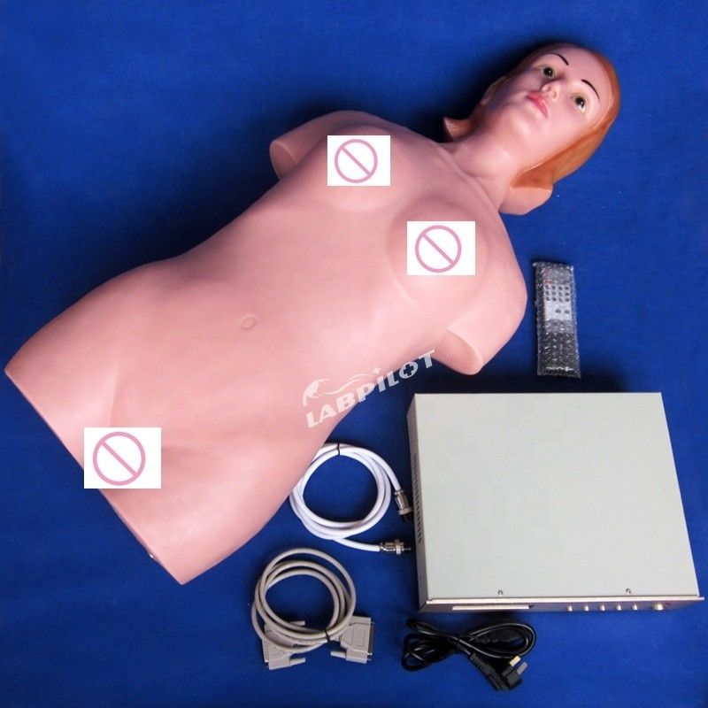 Simulador de palpação abdominal para educação em enfermagem e simulação humana realista