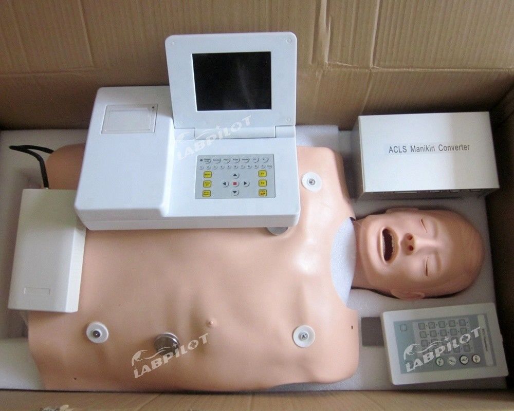 Manikin de PVC para formação médica nas categorias de ACLS e modelo de intubação IV