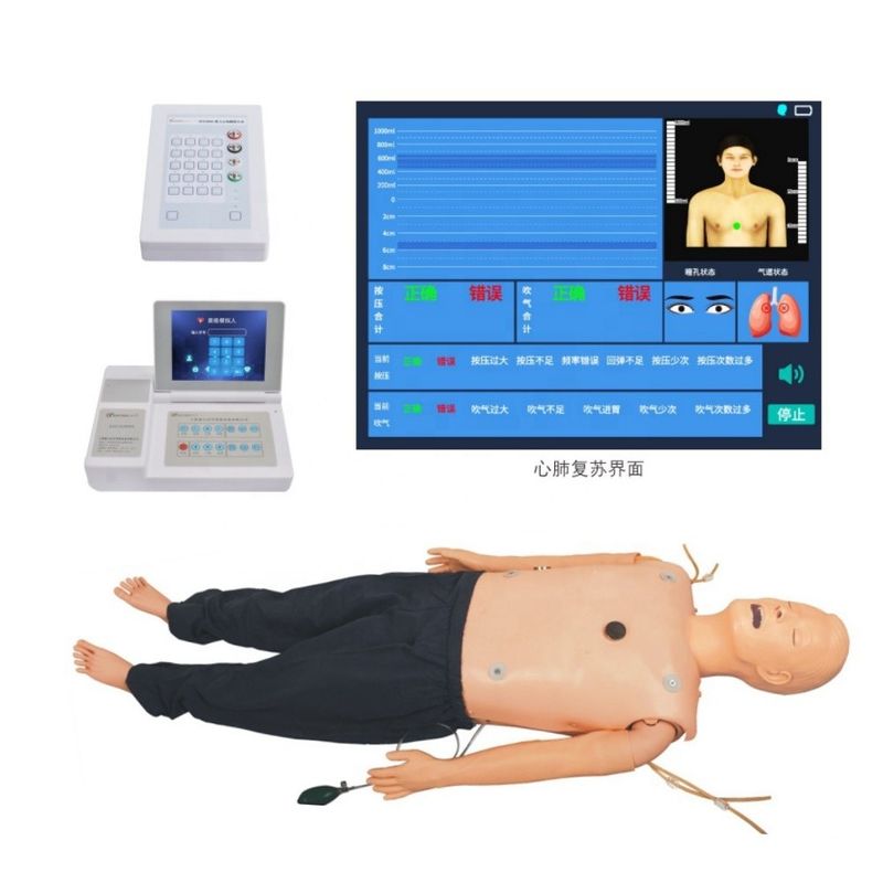 Manikin de suporte vital avançado para habilidades de emergência abrangentes e item de ensino de ECG