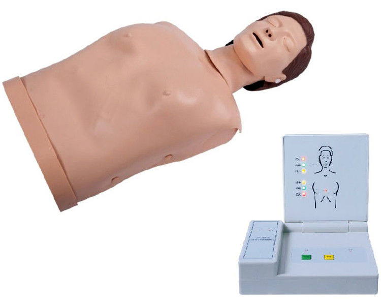 Pvc avançado Educação em RCP para adultos em computador Maniquínio de emergência