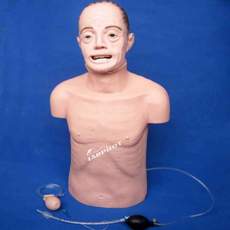 Tipo eletrônico CPR e intubation treinamento de idosos manequim para técnicas de salvamento