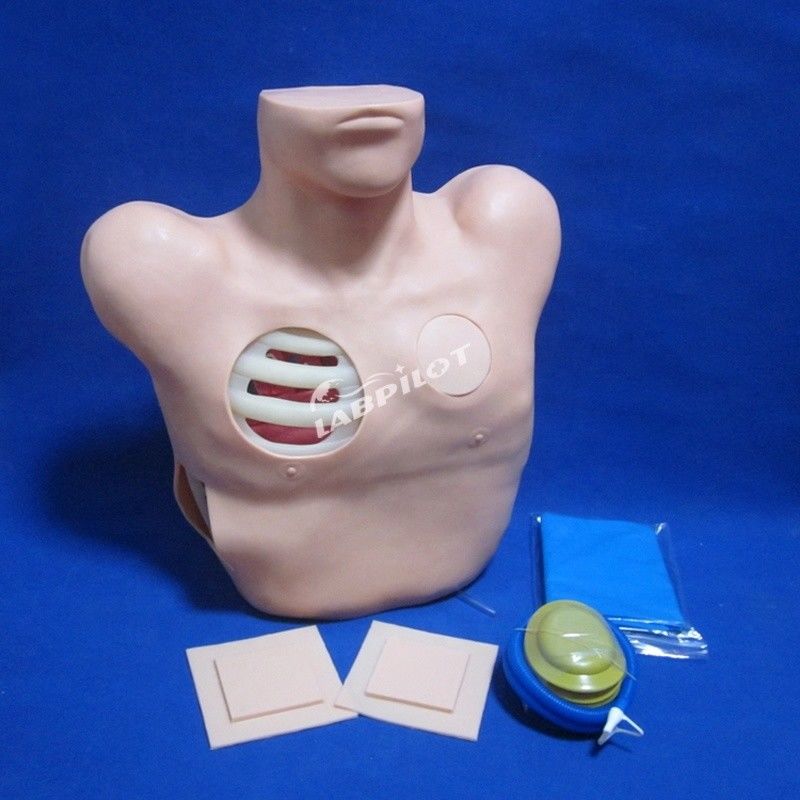 Manikin de PVC avançado para formação de enfermagem de drenagem de perfuração pleural e toracentesia