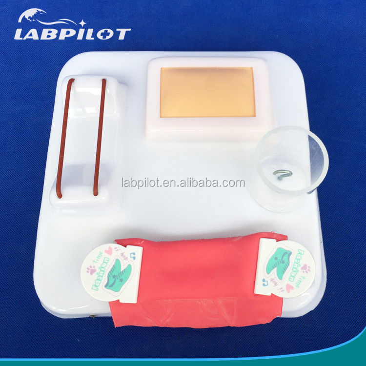 Demonstração de cuidados com os pacientes Tamanho da vida humana Anastomose intestinal e pad de prática de sutura
