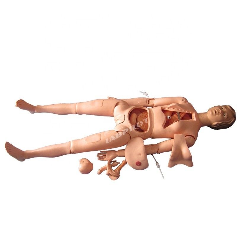 Órgãos Internos Treinamento de Enfermagem Manikin para o tamanho da vida humana Demonstração de cuidados aos pacientes