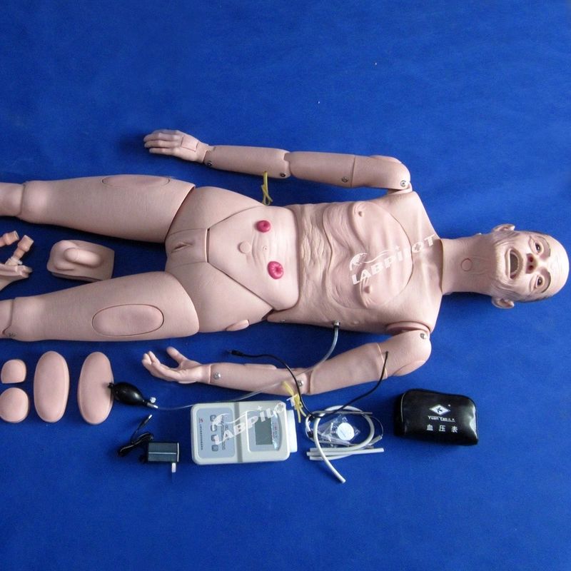 Manikin para enfermagem CPR BP Treinamento A chave para o sucesso do cuidado de pacientes idosos