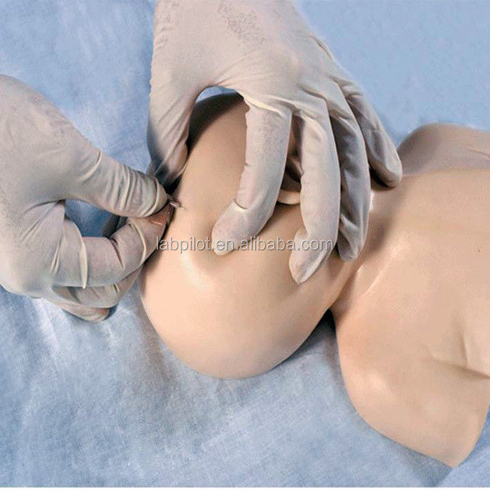Modelo de Treinamento de Venipunctura do Câncer Neonatal A Vantagem do Design de Tamanho de Vida Humana